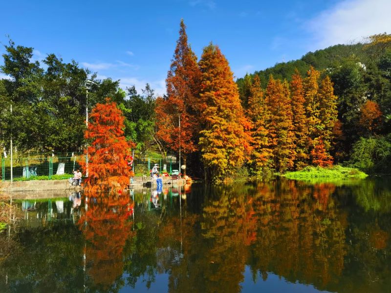 鏡頭里的紫金山銅金礦